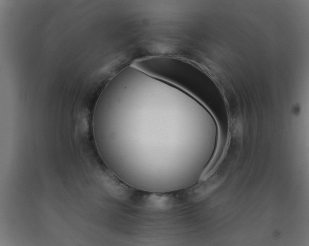 X0000093150570200709261448