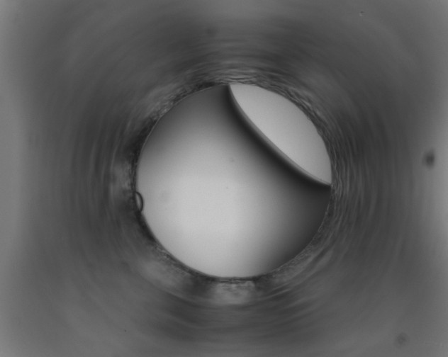 X0000093150571200709261448