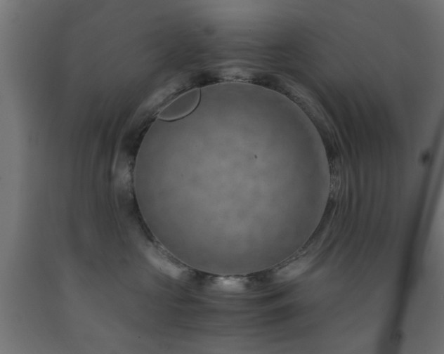 X0000093150573200709261448