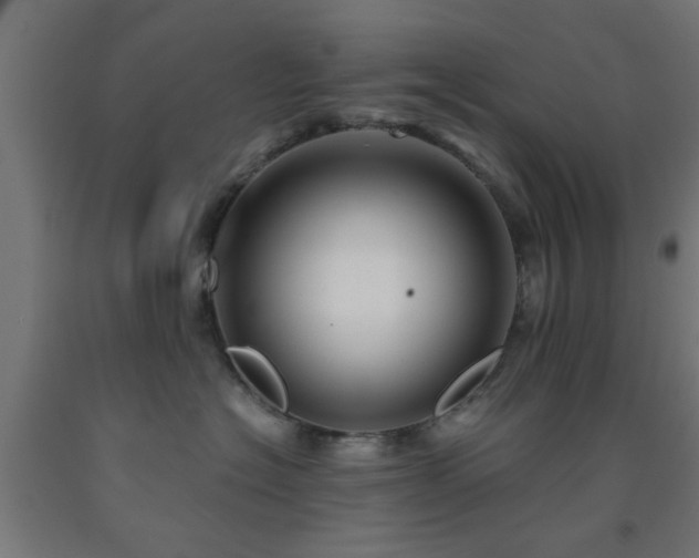 X0000093150574200709261448