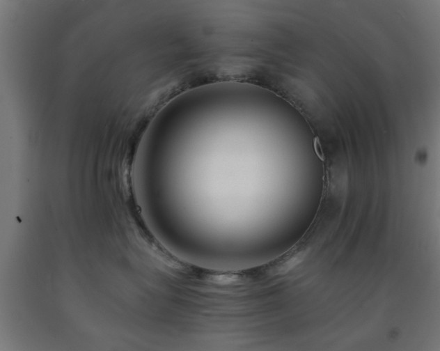 X0000093150575200709261448