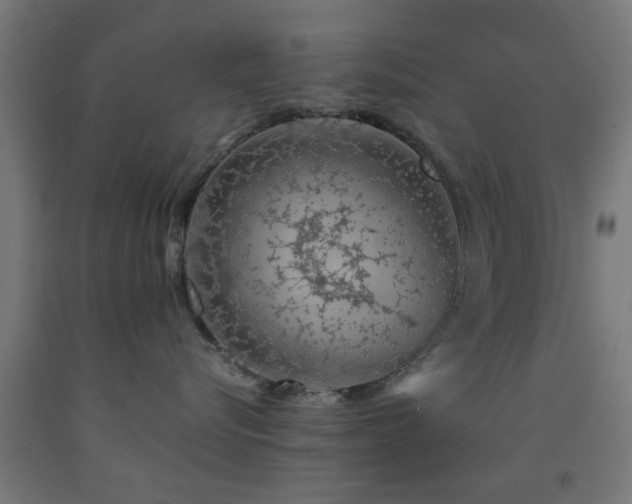 X0000093150576200709261448