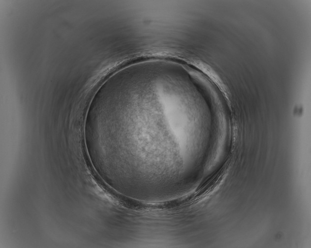 X0000093150577200709261447