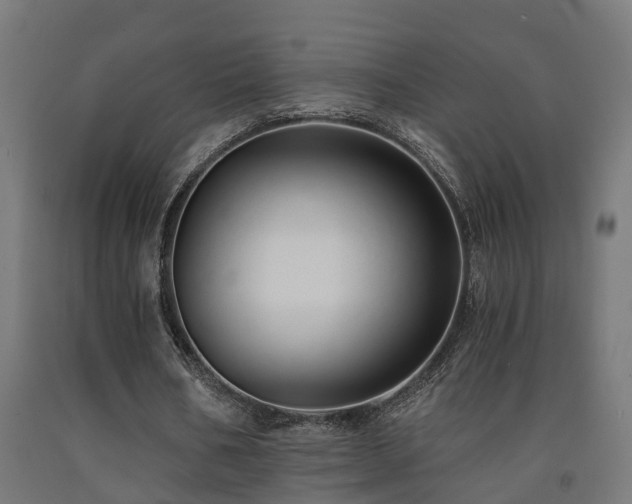 X0000093150578200709261447