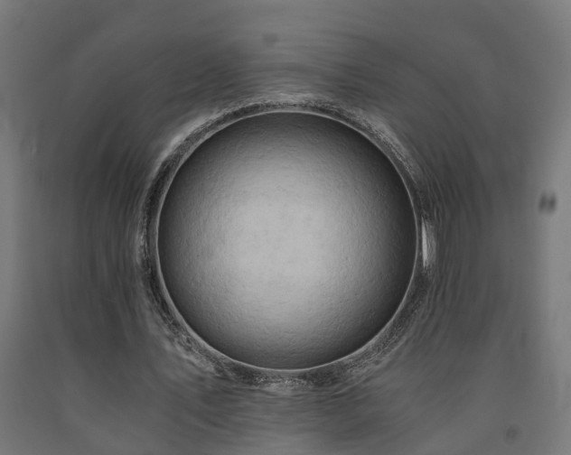 X0000093150579200709261447