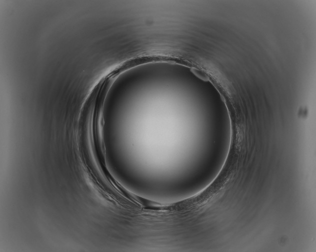 X0000093150580200709261447