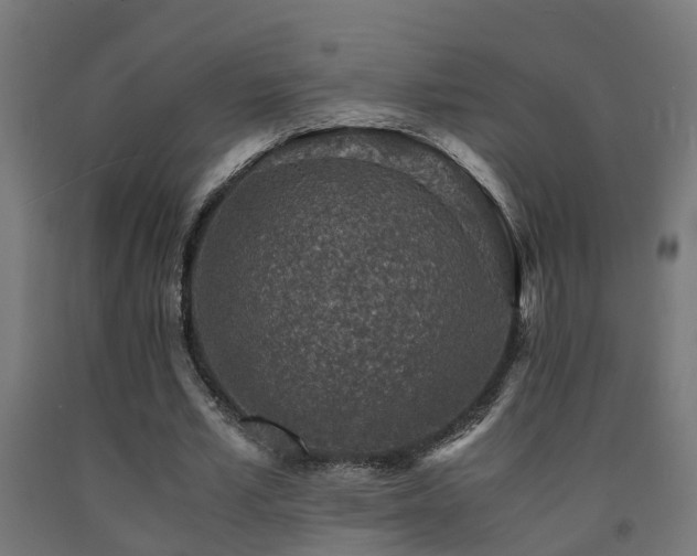 X0000093150581200709261447