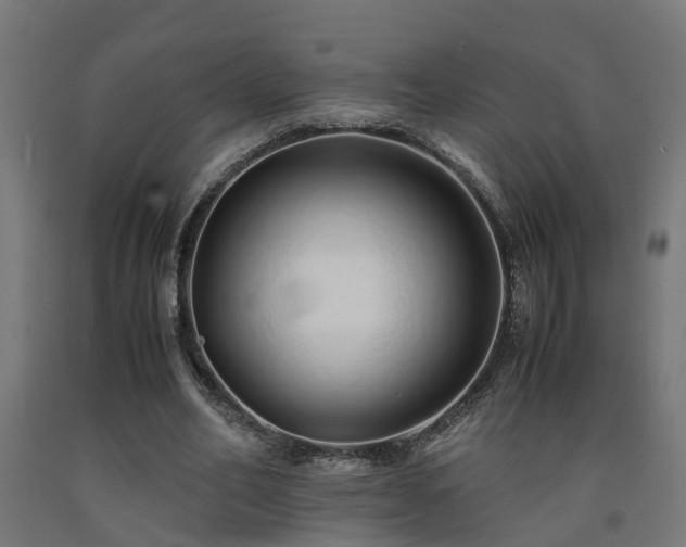 X0000093150582200709261447