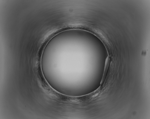 X0000093150583200709261447