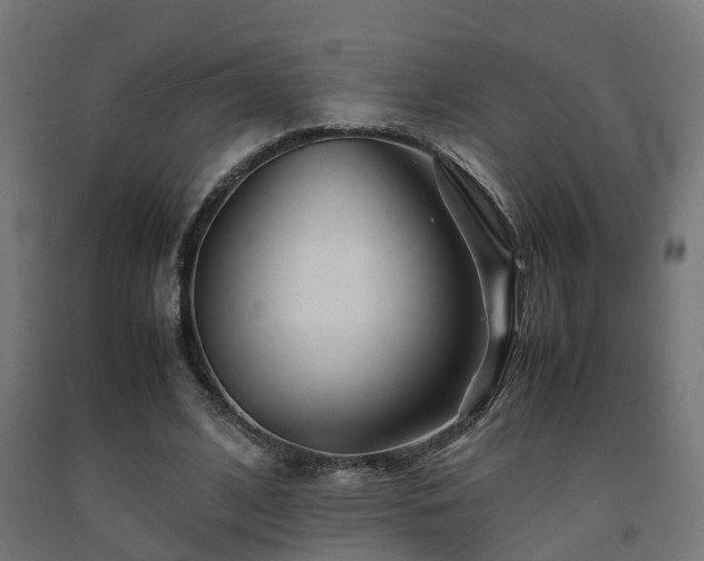 X0000093150584200709261447