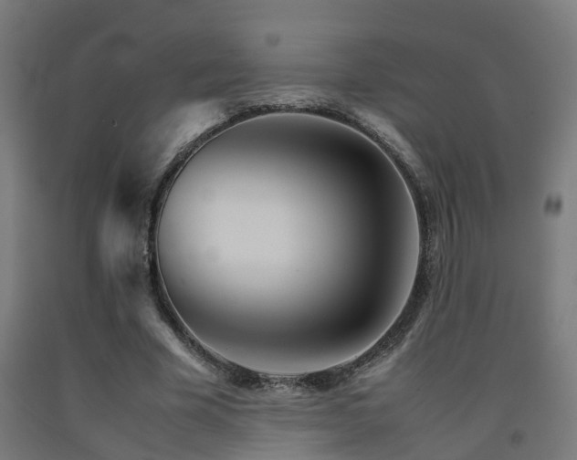 X0000093150585200709261447
