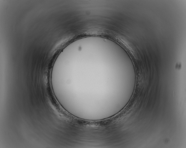 X0000093150586200709261447