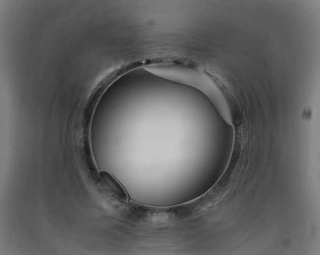 X0000093150587200709261447