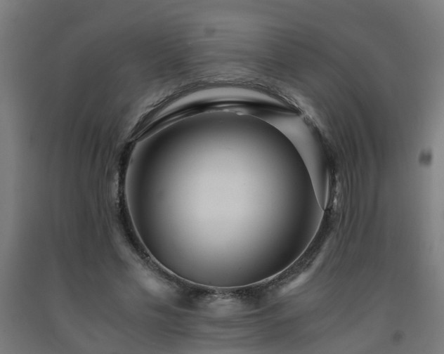 X0000093150589200709261447