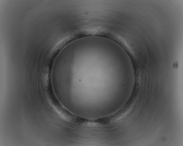 X0000093150590200709261447