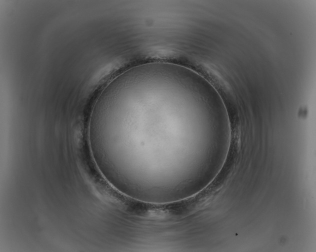 X0000093150591200709261447