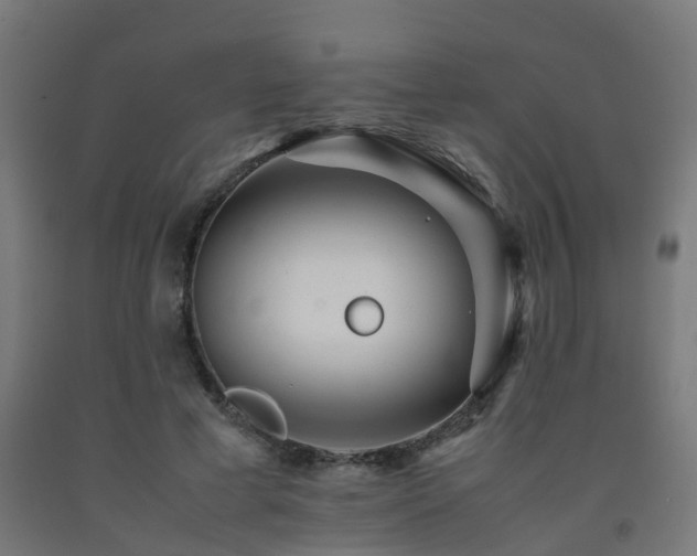 X0000093150593200709261447