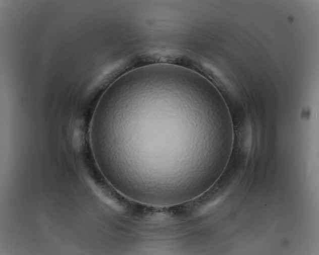 X0000093150594200709261447