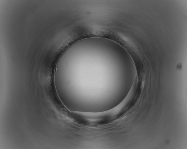 X0000093150595200709261447