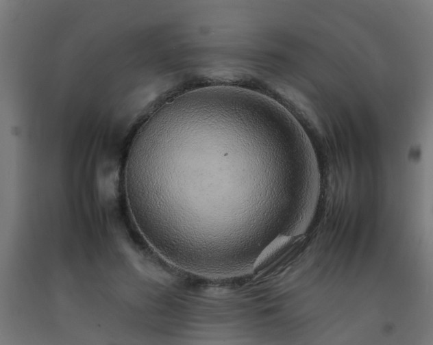 X0000093150596200709261447