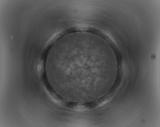 X0000093150598200709261447