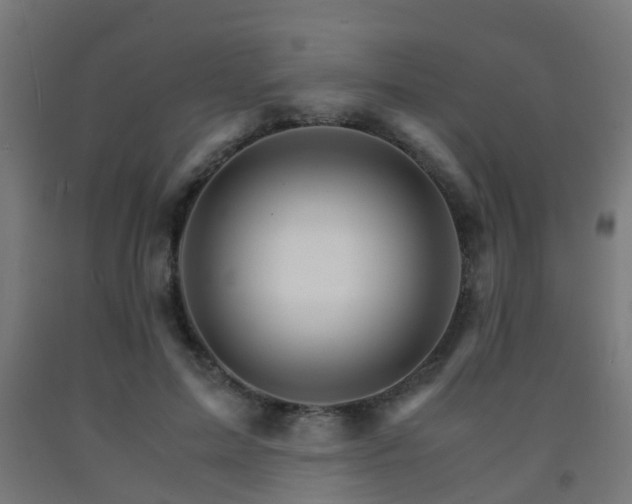 X0000093150599200709261447