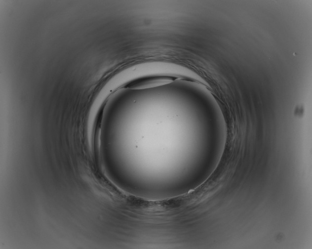X0000093150600200709261447