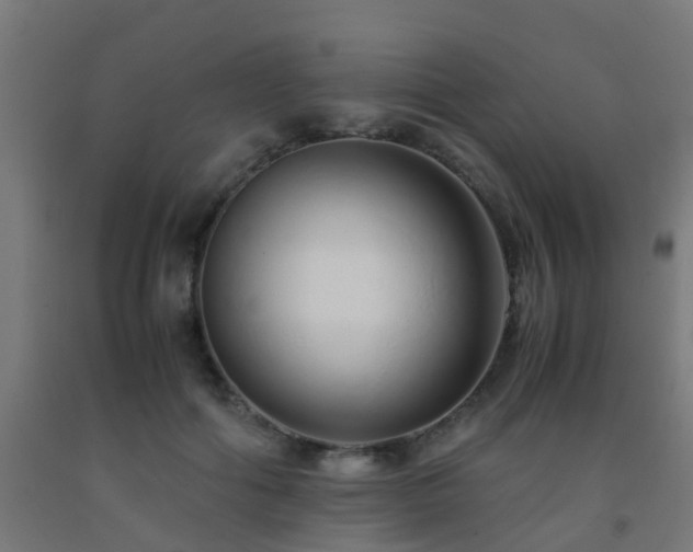 X0000093150602200709261447
