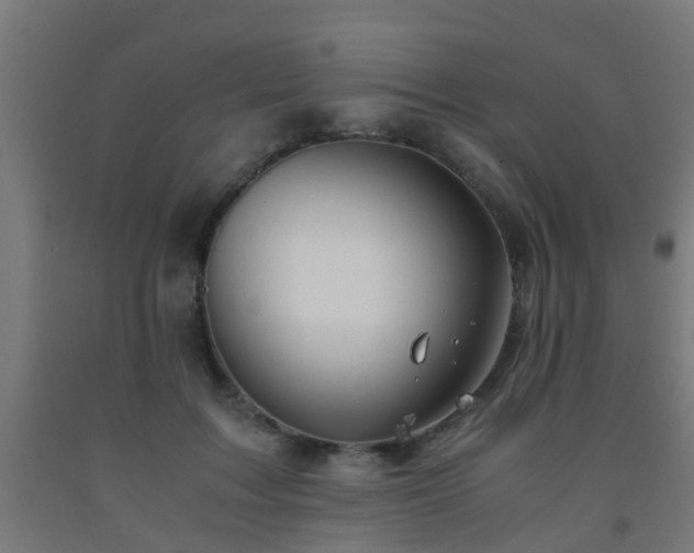 X0000093150603200709261447