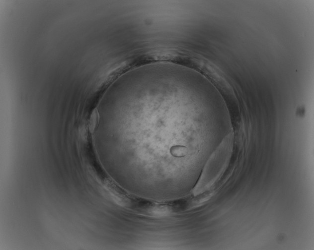 X0000093150604200709261447