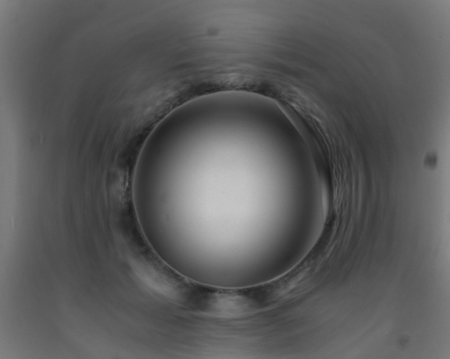 X0000093150605200709261447
