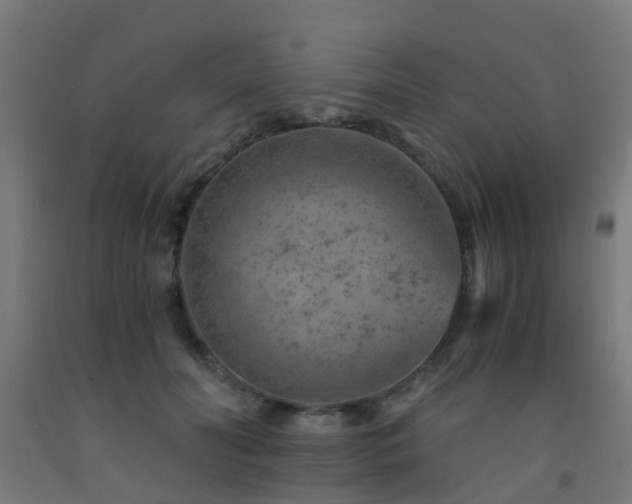 X0000093150606200709261447