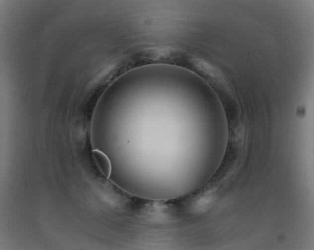 X0000093150607200709261447