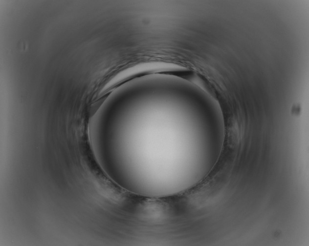 X0000093150608200709261447