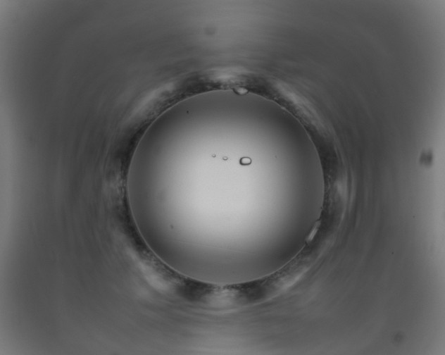 X0000093150609200709261447