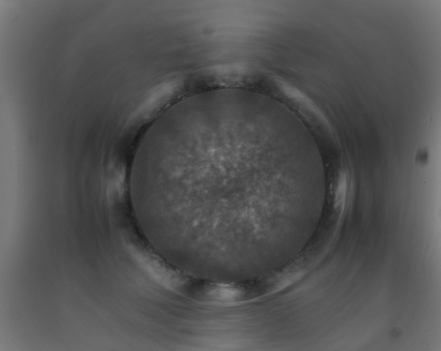 X0000093150610200709261447
