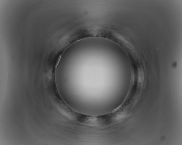 X0000093150611200709261447