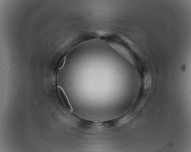 X0000093150613200709261447