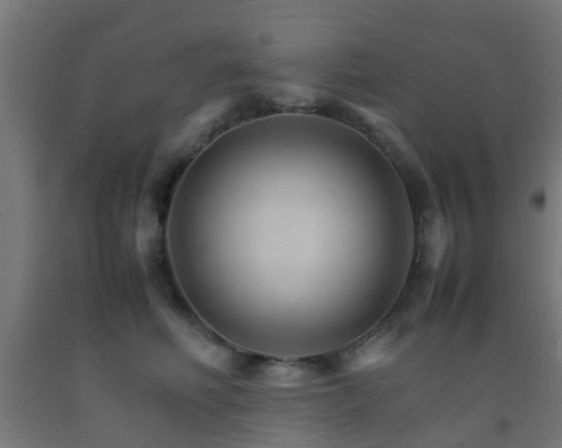 X0000093150614200709261447