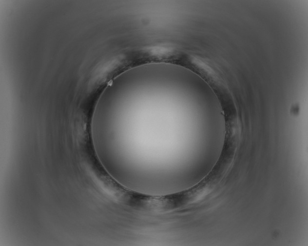 X0000093150615200709261447