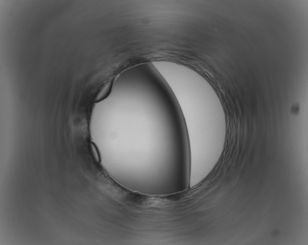 X0000093150617200709261447
