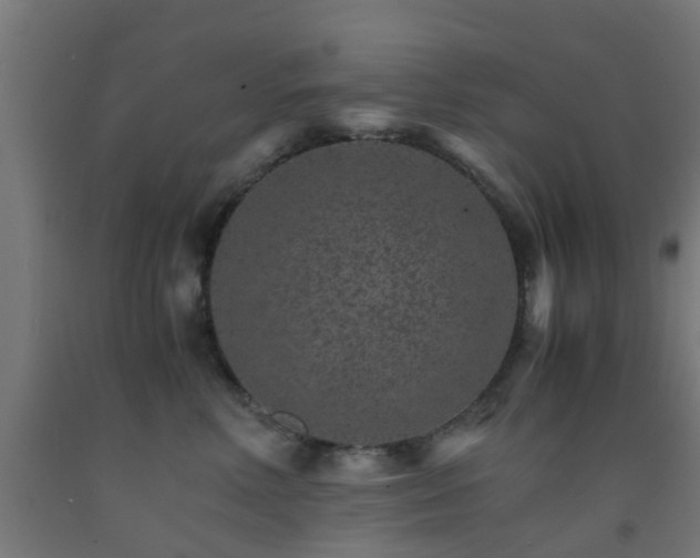 X0000093150618200709261447