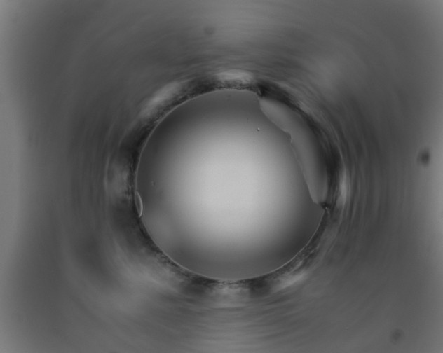 X0000093150619200709261447