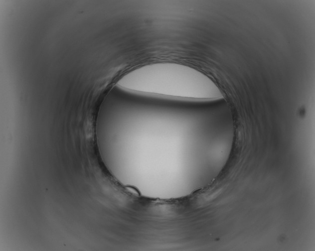X0000093150620200709261447