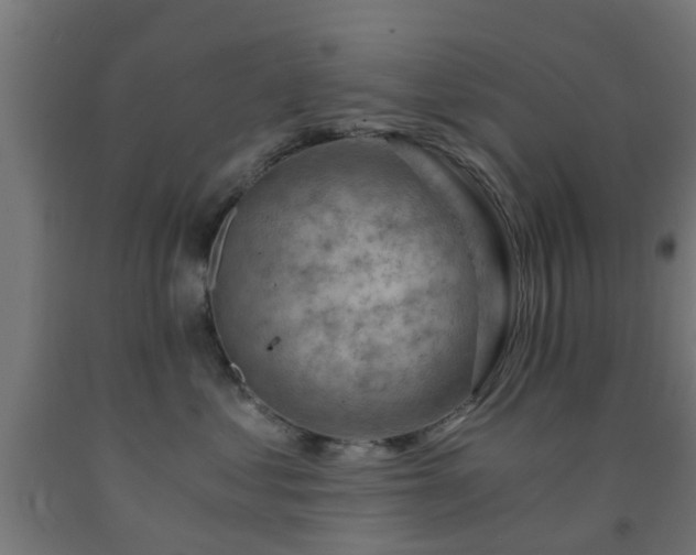 X0000093150621200709261447