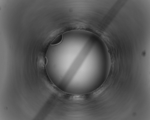 X0000093150622200709261447