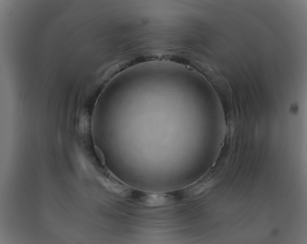 X0000093150623200709261447