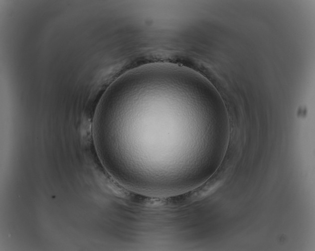 X0000093150624200709261447