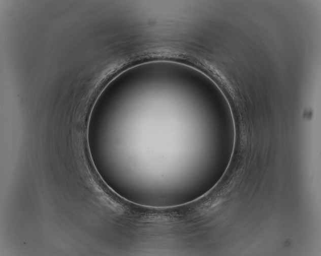 X0000093150625200709261446