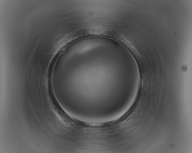 X0000093150626200709261446